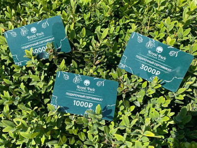 Подарочные сертификаты