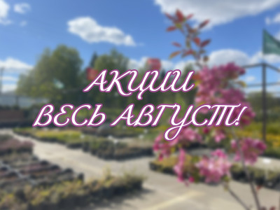 Горячие акции на весь Август!