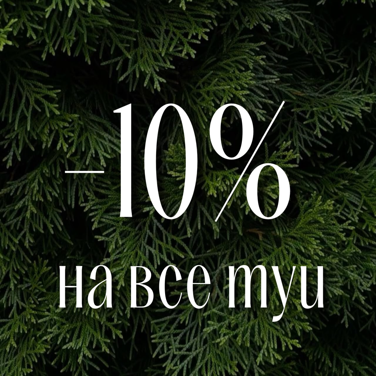 – 10% на все туи!